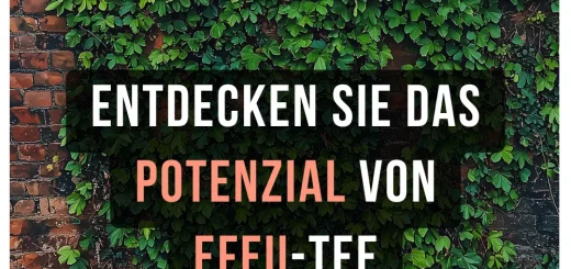 Entdecken Sie das Potenzial von Efeu Tee – Ist Hedera Helix das nächste Kräuterwunde