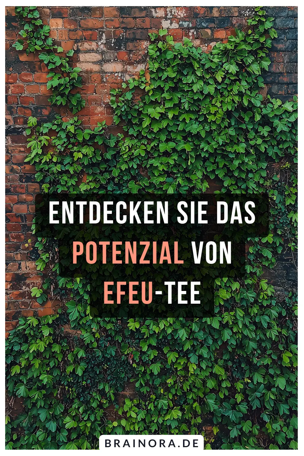 Entdecken Sie das Potenzial von Efeu Tee – Ist Hedera Helix das nächste Kräuterwunde